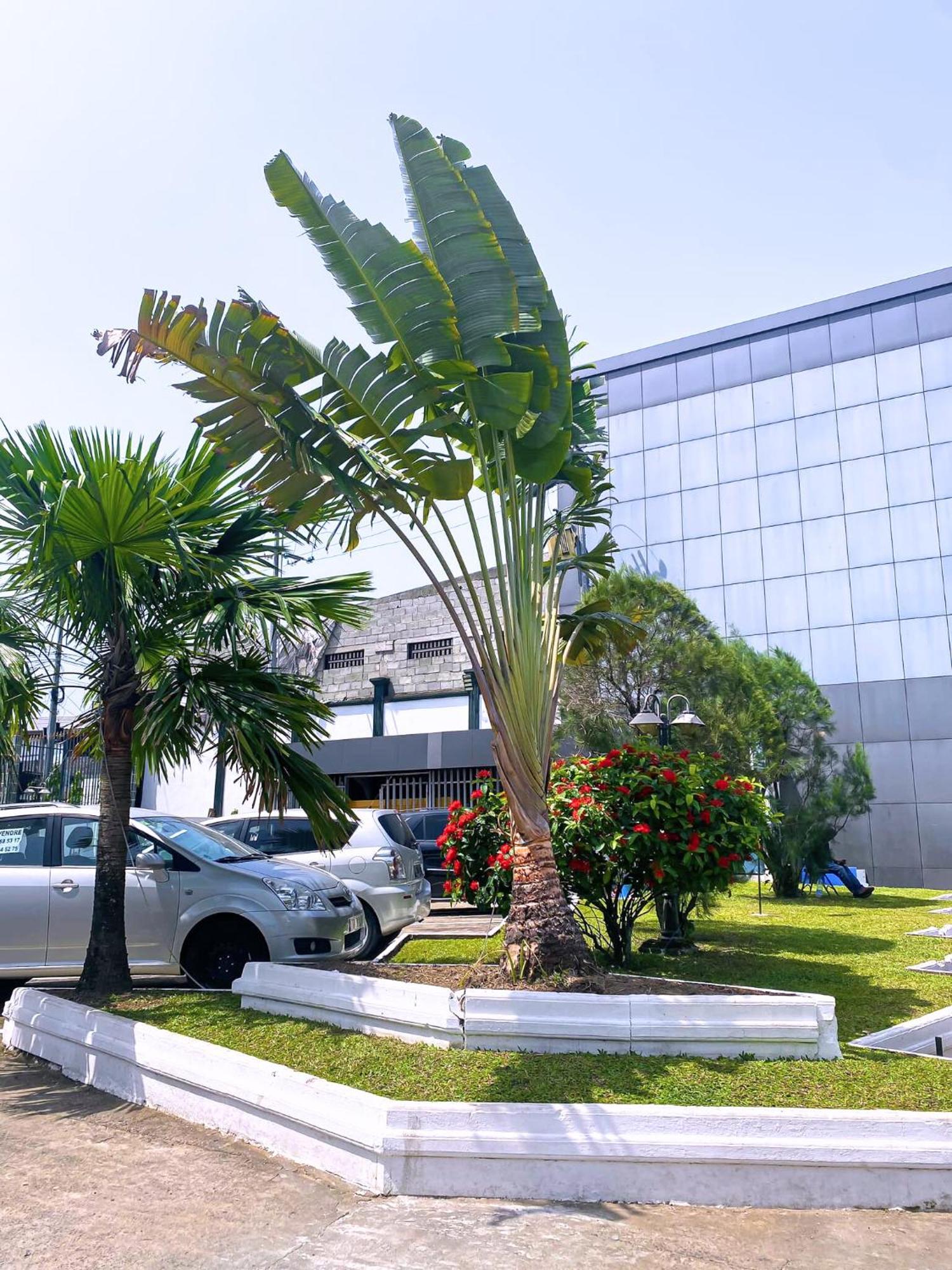 Hotel Vallee Des Princes دوالا المظهر الخارجي الصورة